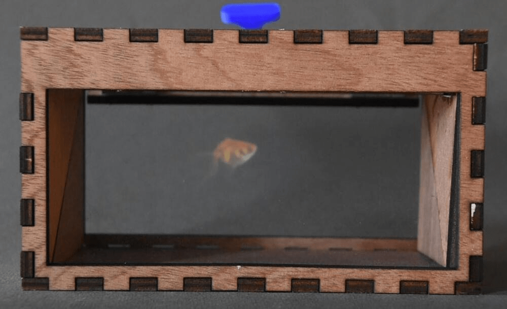 Boîte Holographique Personnalisable Pour Animal Disparu - Projection 3D, Vidéo Sur Mesure - Souvenir émouvant Pour Chien, Chat